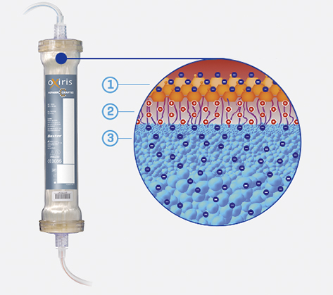 OXIRIS has a 3 layer filter membrane