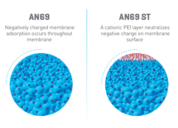 AN69 Negatively charged membrane adsorption occurs throughout membrane. AN69 ST A cationic PEI layer neutralizes negative charge on membrane surface.