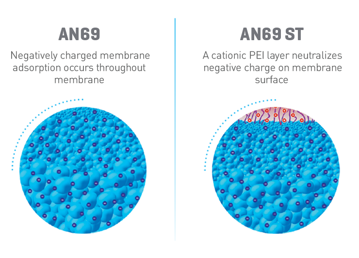 AN69 Negatively charged membrane adsorption occurs throughout membrane. AN69 ST A cationic PEI layer neutralizes negative charge on membrane surface.